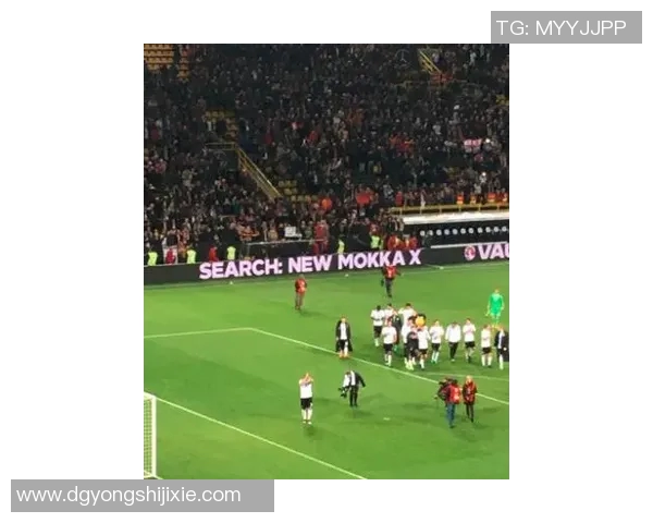 新疆籍土耳其足球明星的成长历程与辉煌成就揭秘